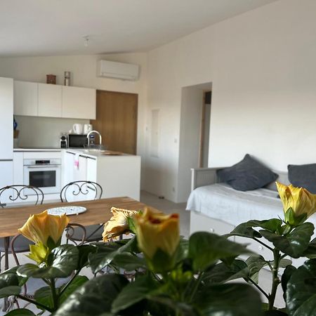Au Coeur De Seillans, Charmant Logement, Grande Terrasse Et Panorama Exterior photo